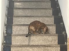 -阿勇鲁肉饭(龙茗路店)