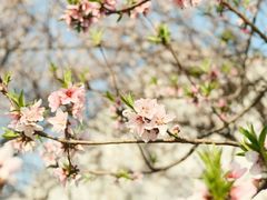 -东南大学(九龙湖校区)