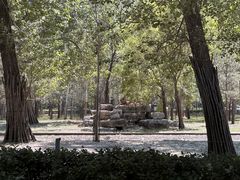 -秦皇岛野生动物园