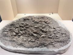 -辽宁古生物博物馆