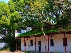 -上海佘山国家森林公园天马山园