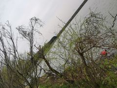 -瑶湖郊野森林公园