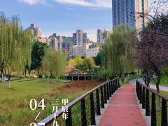 -沐仙湖湿地公园