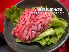 -谭鸭血老火锅(漳州路店)