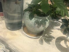 -麓椿花园西餐厅(海乐世界店)
