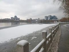 -莲花池公园
