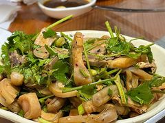-藏书金记家宝羊肉馆(黄河北路店)