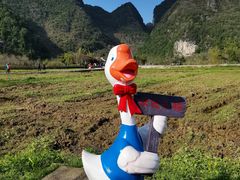 -靖西鹅泉风景区