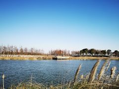 -春花秋色城市公园