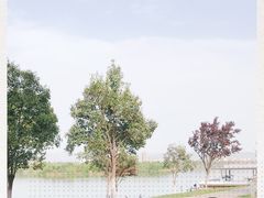 -灞河西岸滨河公园
