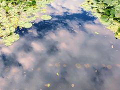 -前关湿地公园