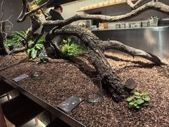 -曲廊院(东四十一条店)