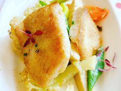 -TOMATITO(无限极荟店)