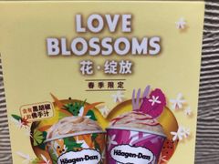 -哈根达斯(陆家浜路店)