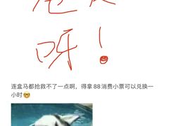 -万达广场(合肥天鹅湖店)