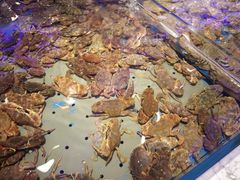 -澜悦港海鲜体验主题餐厅