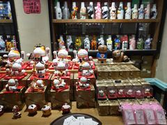 -猫咪博物馆(顶澳仔猫街店)