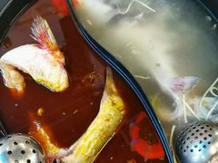 -古乐牛香·鲜牛肉牛杂火锅(五一中路店)