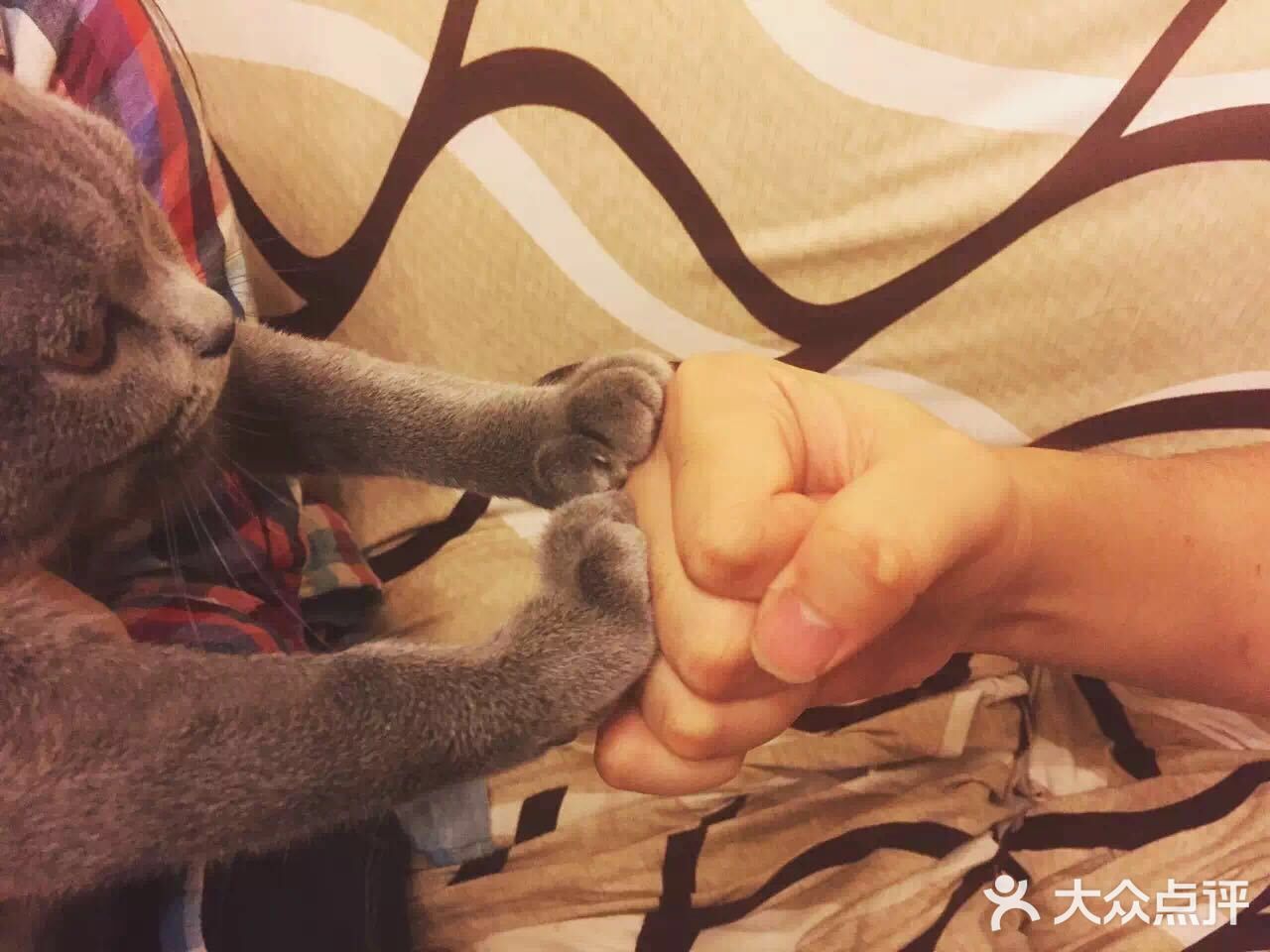 #家有萌宠