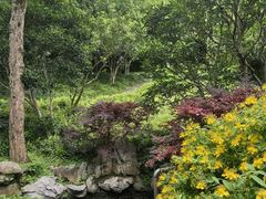 -上海神旺大酒店