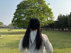 -石家庄市植物园