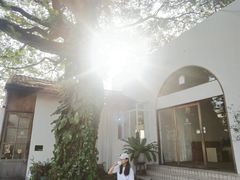 -Cheevit Cheeva(Sirimangkalajarn)