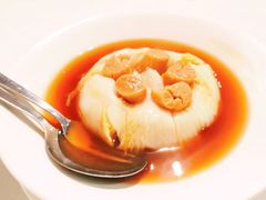 -詠春园