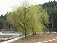 -锦屏山旅游度假区