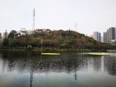 -重庆彩云湖湿地公园