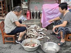 -巴哈面店(沈家门西大街店)