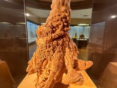 -中国沉香文化博物馆