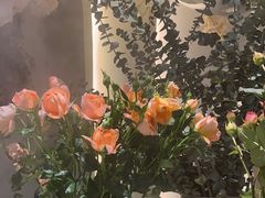 -晶雅花园西餐厅(南京首店)