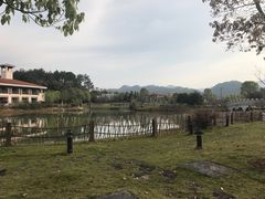 -桃源咖啡厅(武夷山大红袍山庄店)