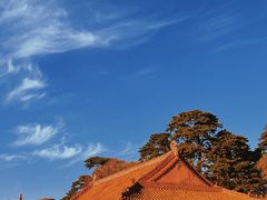 -沈阳市东陵公园