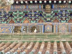 -潭柘寺景区