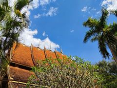 -西双版纳傣族园