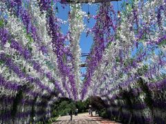 -云漫湖生态度假公园