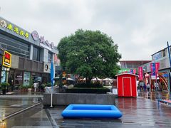 -证大大拇指广场(芳甸路店)