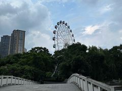 -塔子山公园