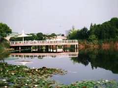 -新江湾城公园