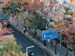 -深圳国际园林花卉博览园