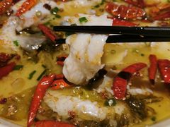 -首秀·四川料理(星耀101店)