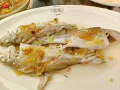 梅汁斑猪鱼-吴记富苑(朝阳店)