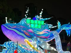 -海合安武汉极地海洋公园