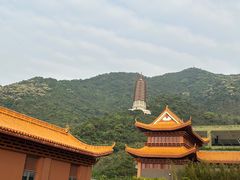 -深圳仙湖植物园