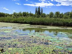-野鸭湖国家湿地公园