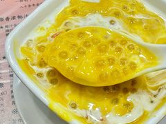 -南信牛奶甜品专家