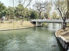 -皇家御河游(紫御湾码头)