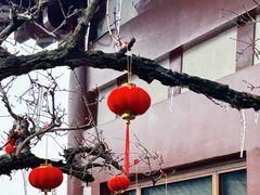 -西安华清御汤酒店