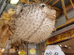-大澳